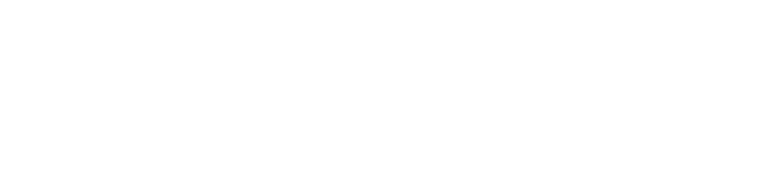 Flypee